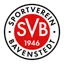Team-Logo 3563